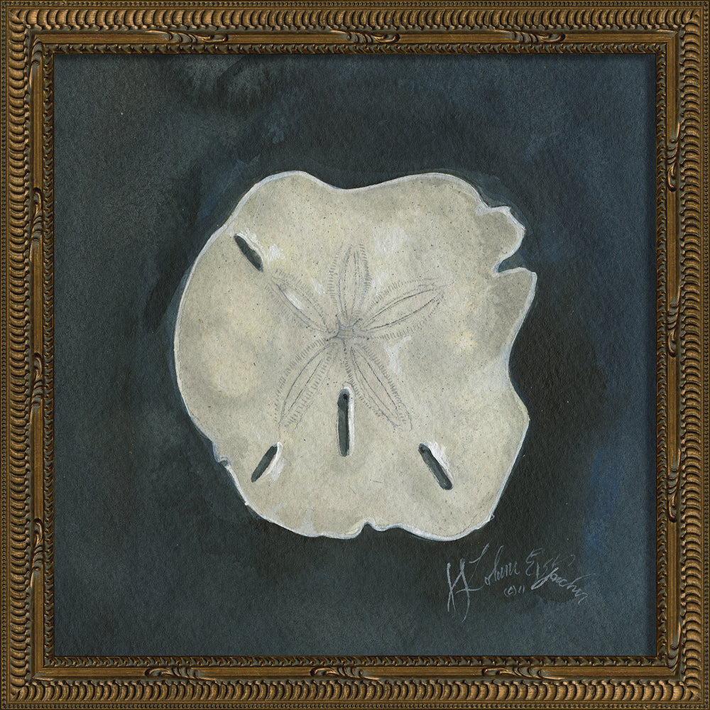 Vintage Seashell VII Framed Print 13" x 13"