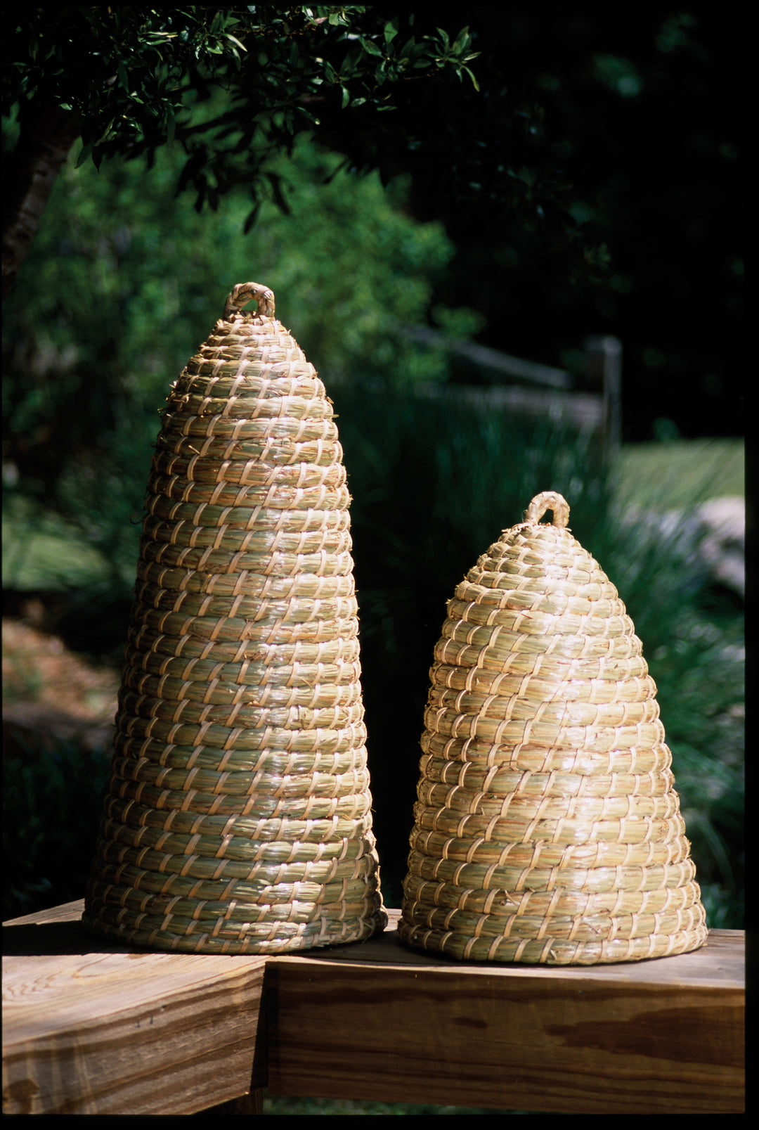 Extra Tall Bee Skep Cloche 27" (Set of 2) - Hudson & Vine