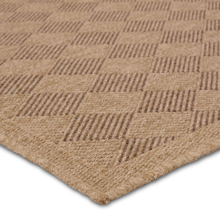 Vibe by Jaipur Living Amanar Indoor/Outdoor Tribal Brown Area Rug (NAMBE - NMB05)