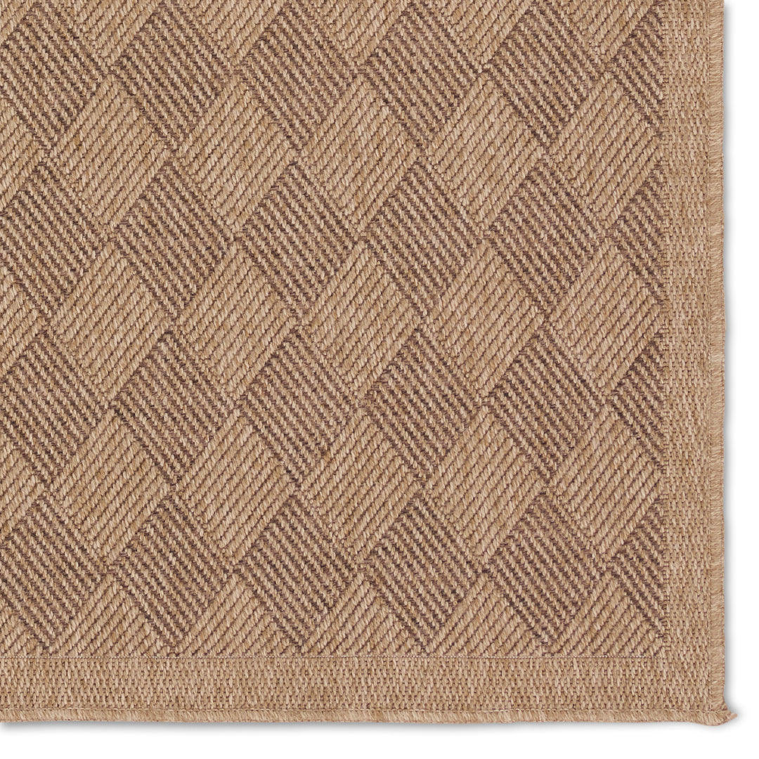 Vibe by Jaipur Living Amanar Indoor/Outdoor Tribal Brown Area Rug (NAMBE - NMB05)