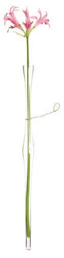 Pew Hanging Bud Vases (Set/2) - Hudson & Vine