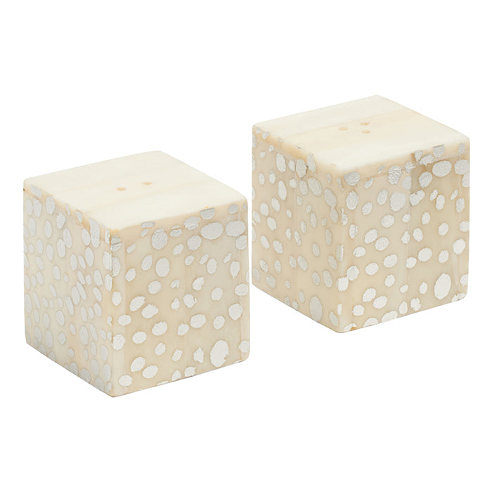 Dermott Spotted Silver Salt and Pepper Shakers Set of 4