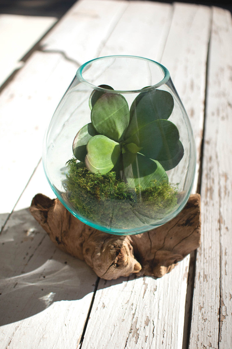 Wood & Recycled Glass Terrariums