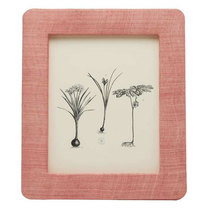 Halle Silken Abaca Picture Frames (Vintage Rose)