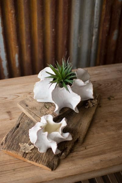 Organic Ceramic Planters Set/2