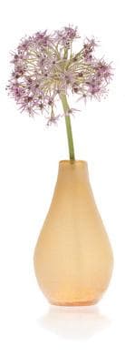 Taiga Amber Bulb Bud Vase - Hudson & Vine