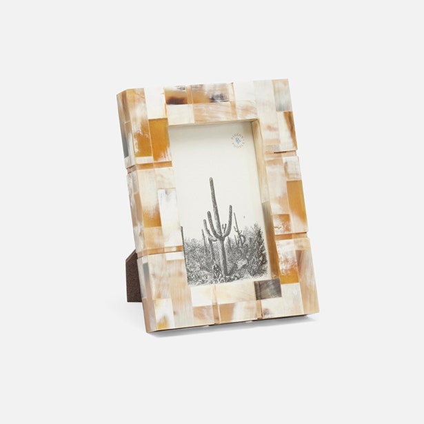 Darwin Natural Horn Picture Frame