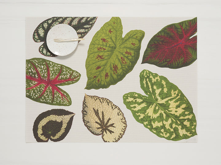 Martha Stewart x Chilewich Scattered Leaves Rectangular Placemats Set/4