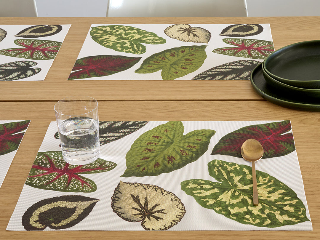 Martha Stewart x Chilewich Scattered Leaves Rectangular Placemats Set/4