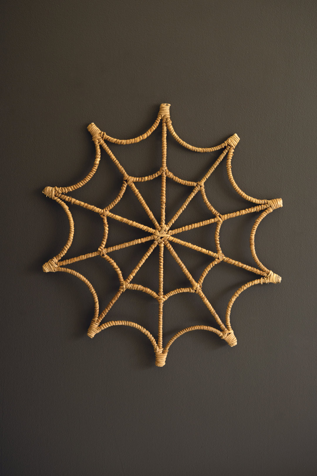Seagrass and Iron Spider Web Wall Hanging