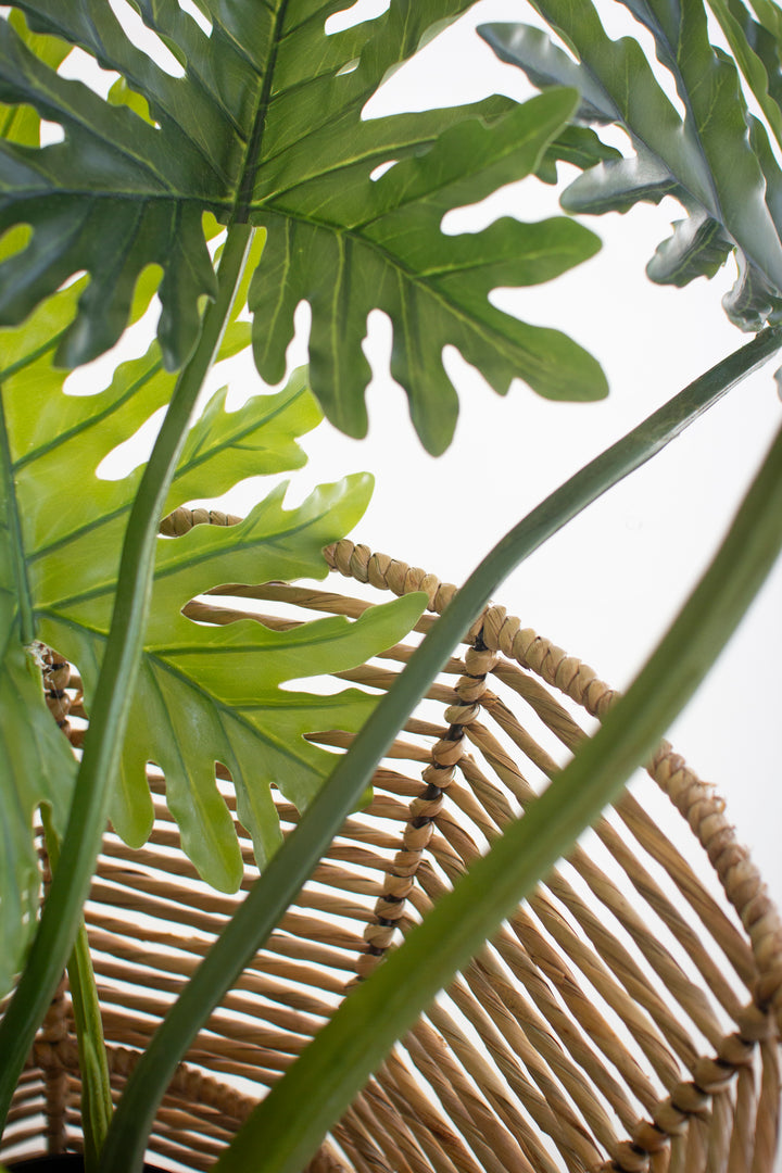 Iron and Seagrass Urn