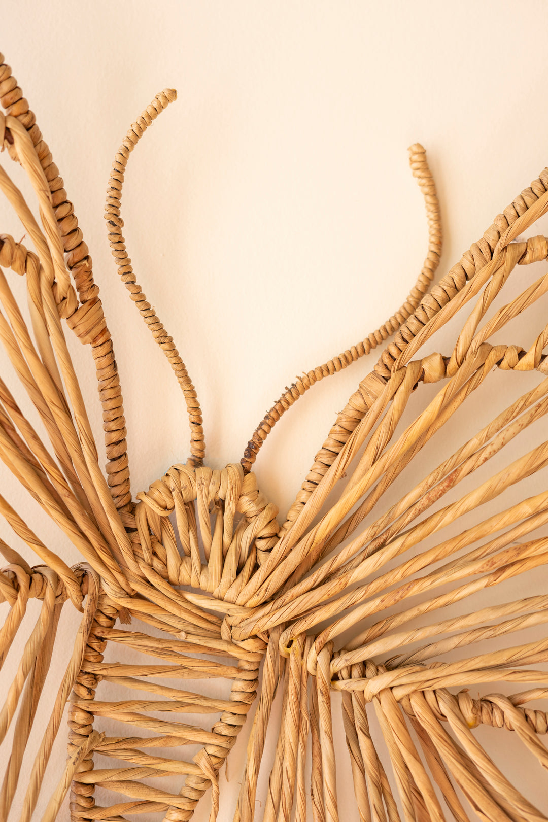 Seagrass and Iron Butterfly Wall Décor