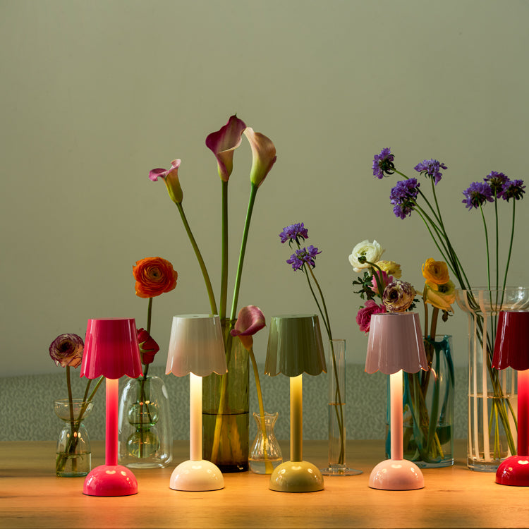 Addison Ross Pink Lacquer Scallop LED Lamp