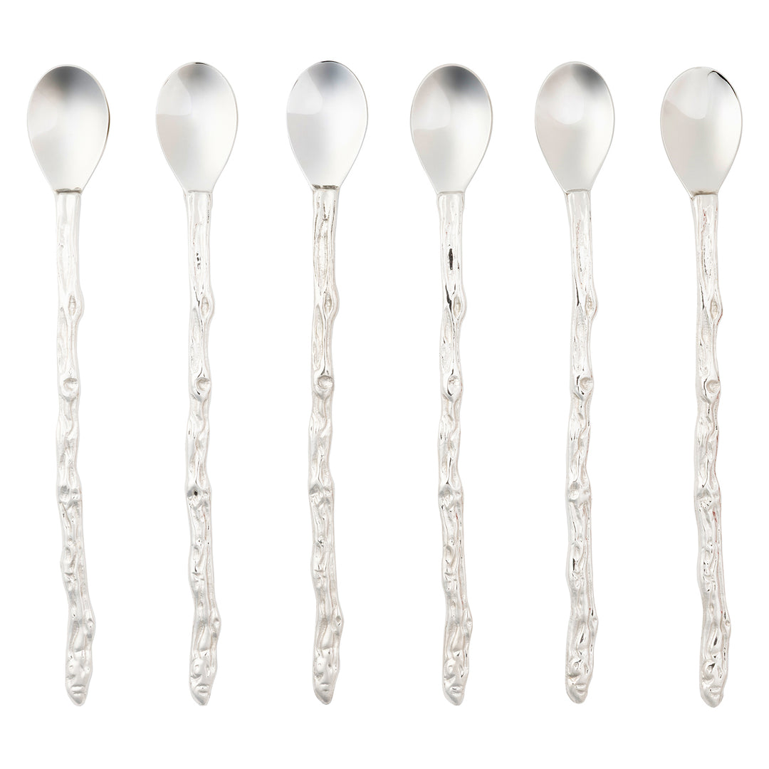 Polished Silver