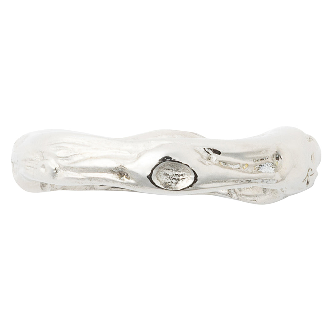 Arbor Polished Silver Napkin Ring Set/4