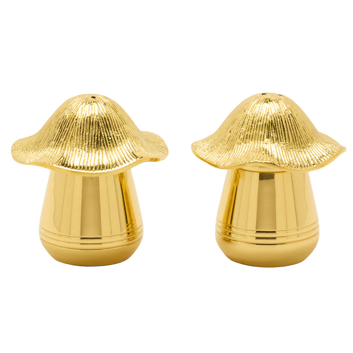 Heidi Polished Gold Salt And Pepper Shakers