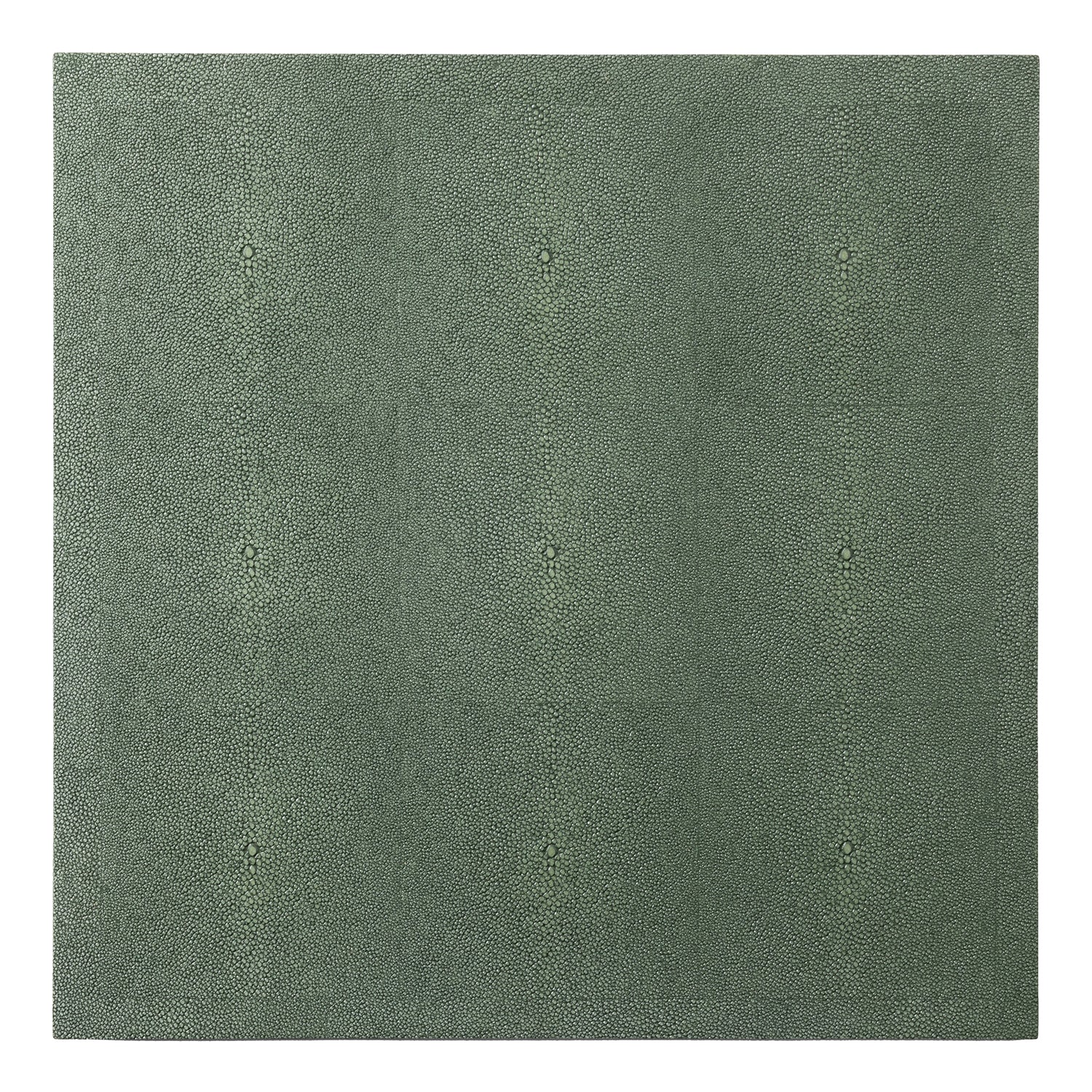 Henry Faux Shagreen Juniper Placemats Set Of 2