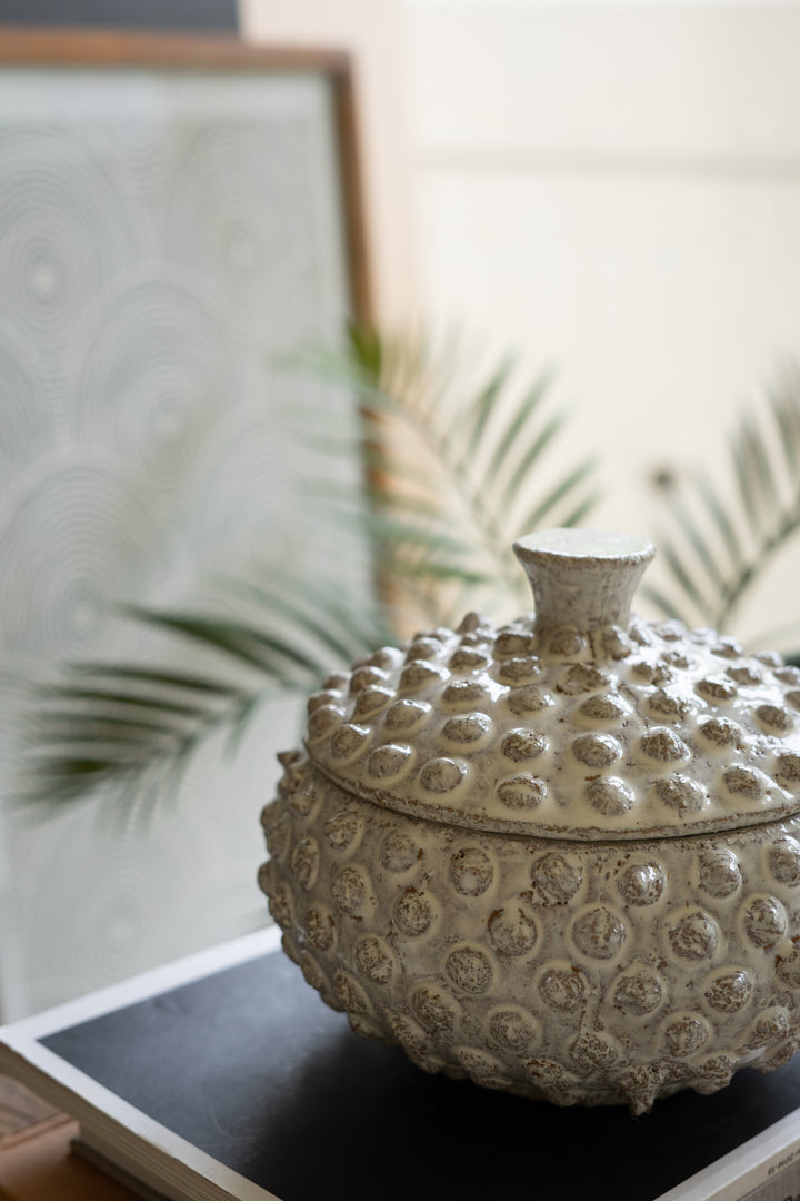 Set Of 2 Round Knobby White Ceramic Canisters