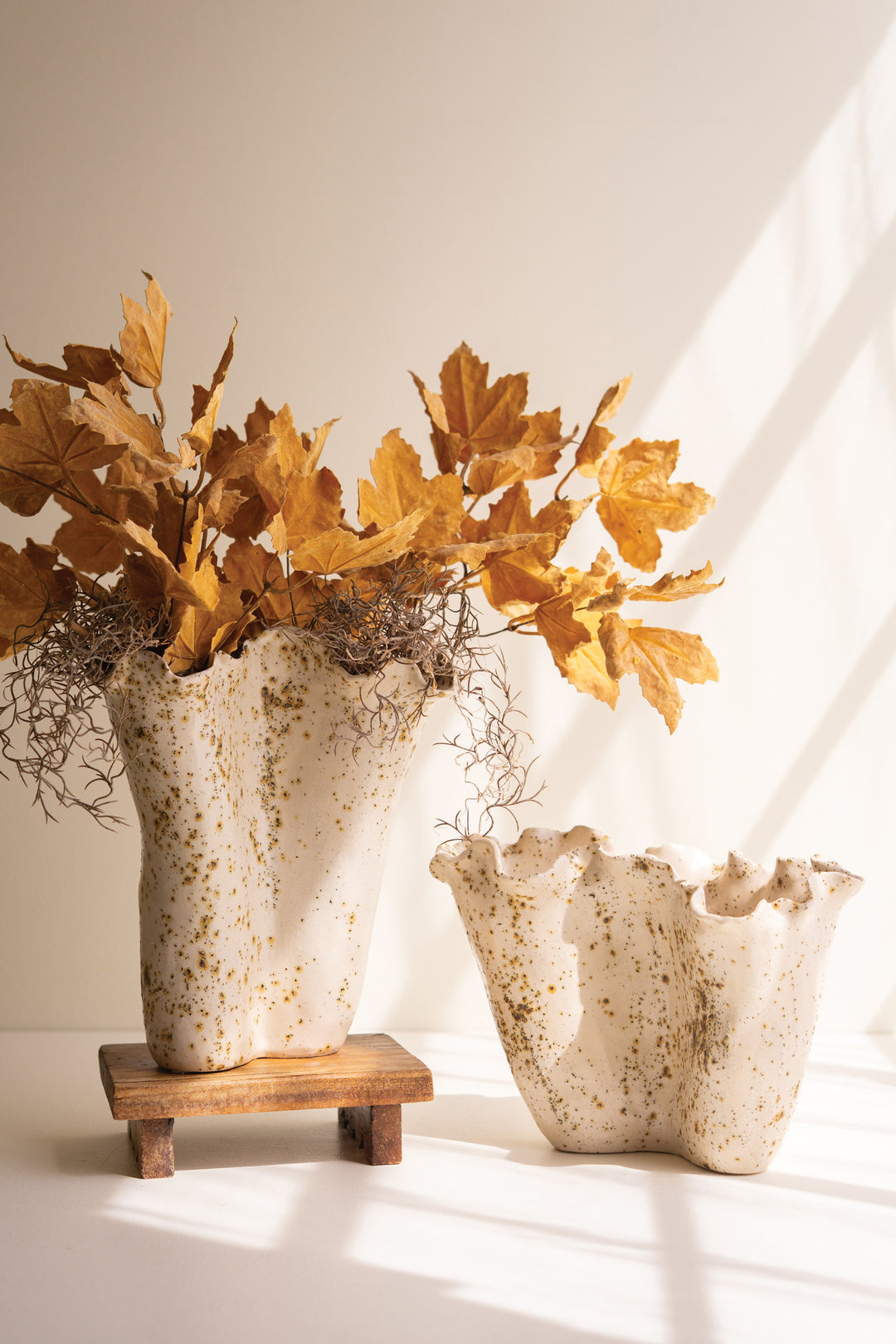Set of 2 Ceramic Rustic Edge Speckle Vases
