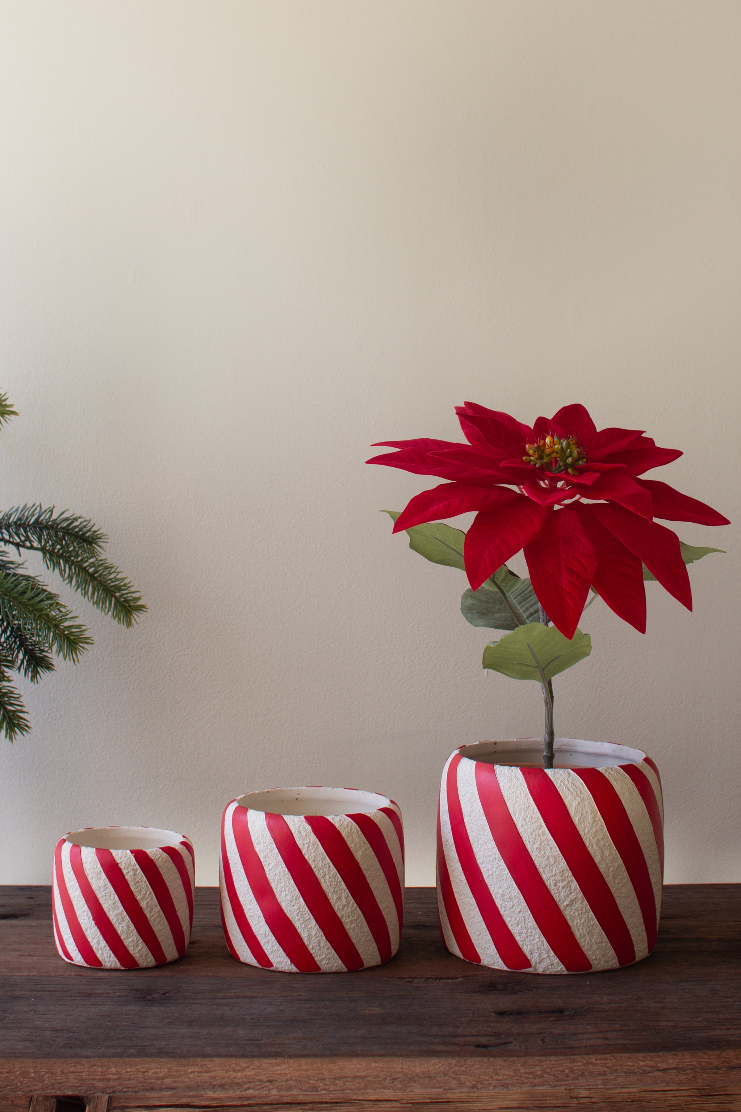 Set of 3 Concrete Candy Cane Planters