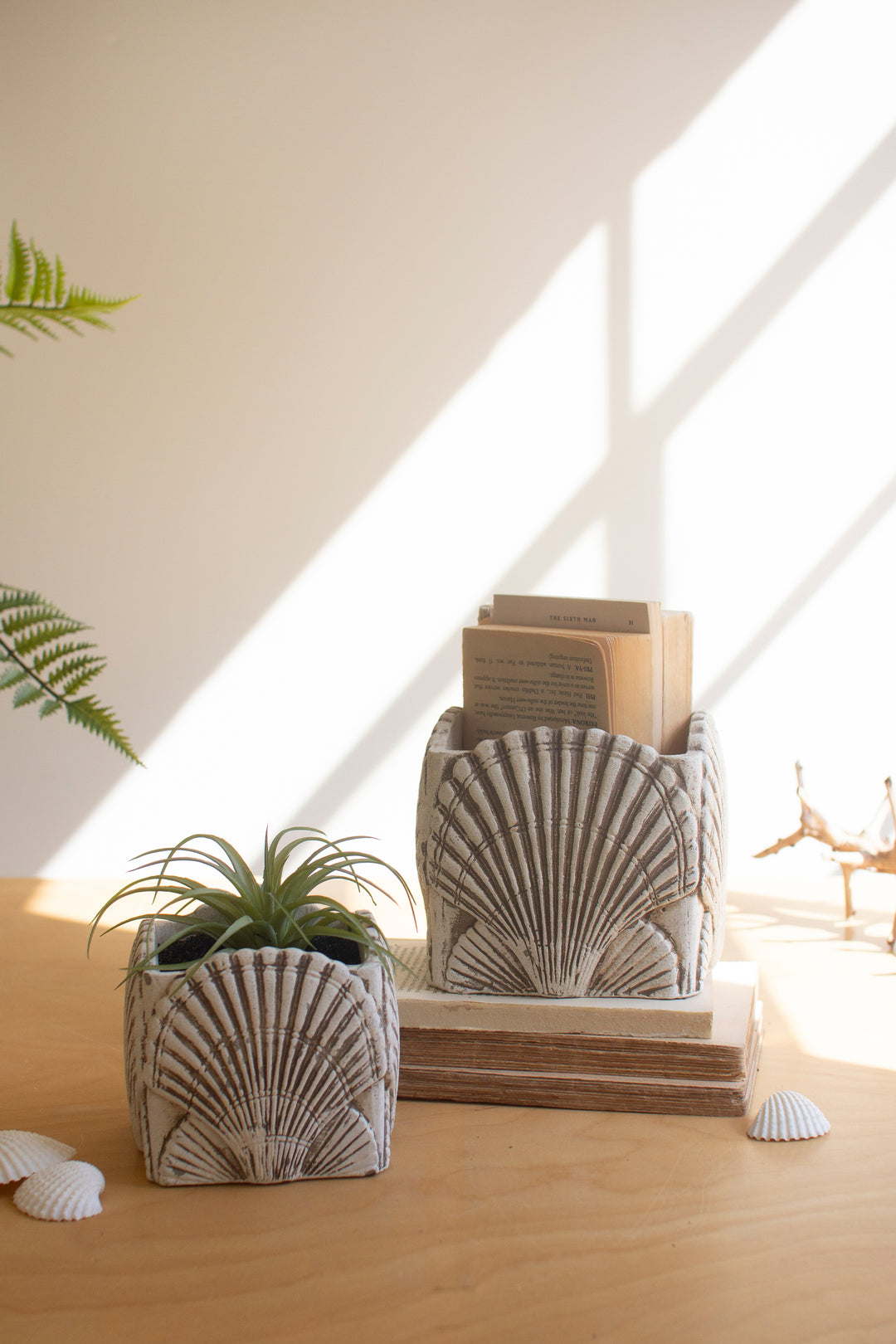 Set of 2 Cement Shell Planters