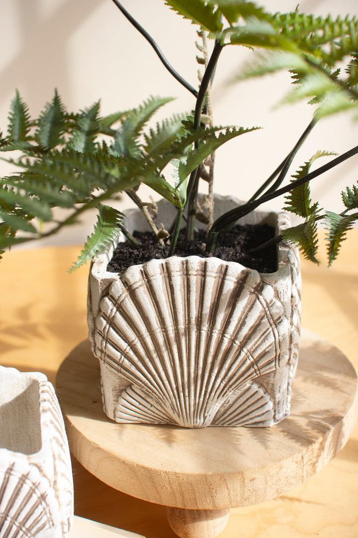 Set of 2 Cement Shell Planters