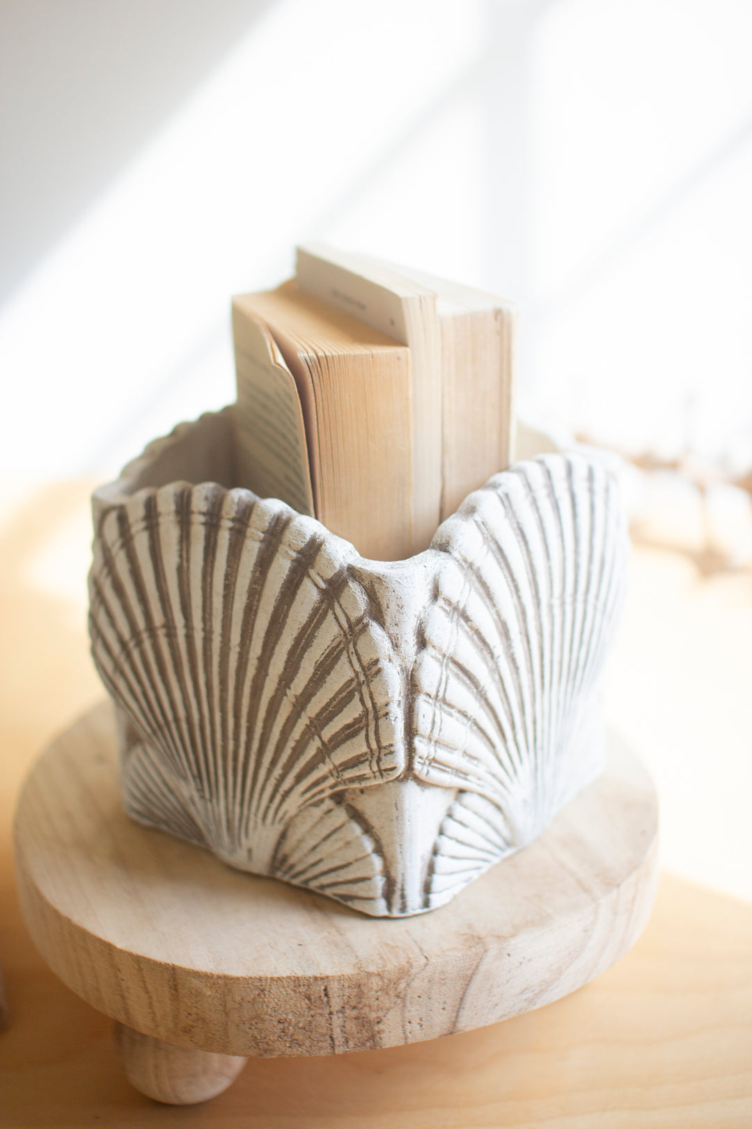 Set of 2 Cement Shell Planters