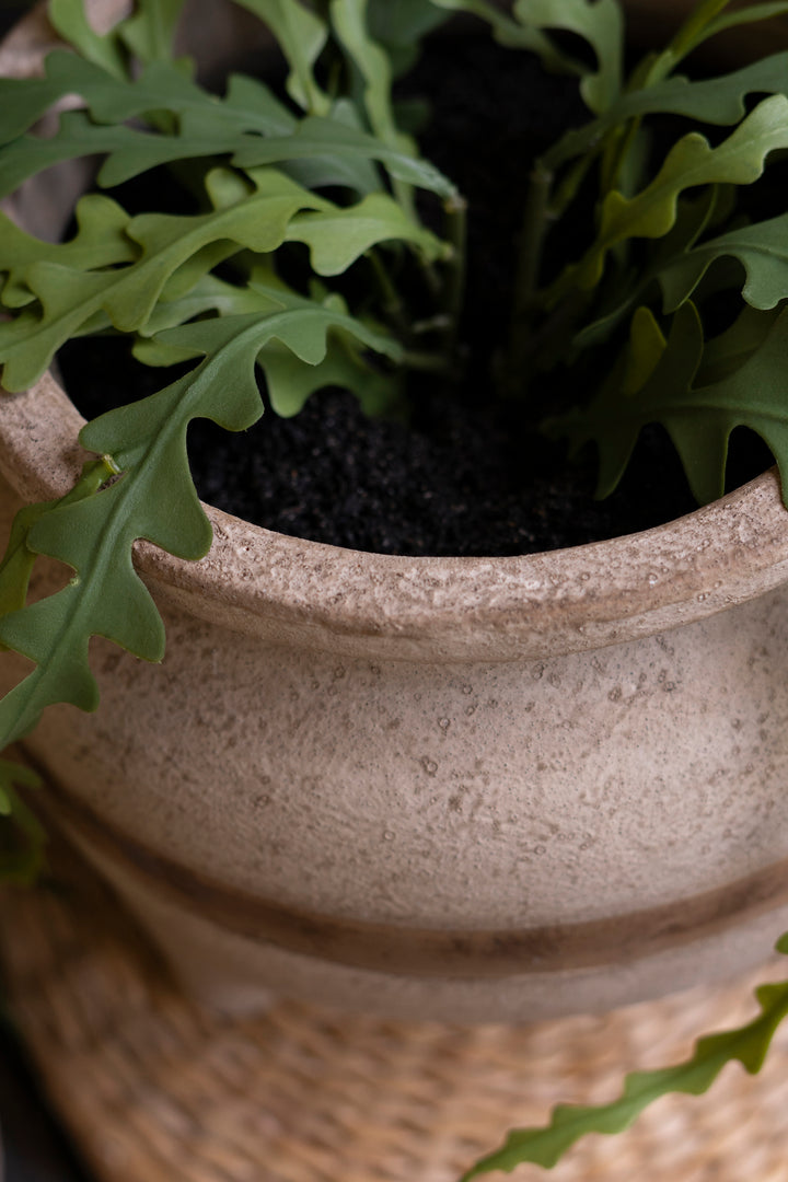 Set of 2 Terracotta Planters with Horizontal Brown Stripe