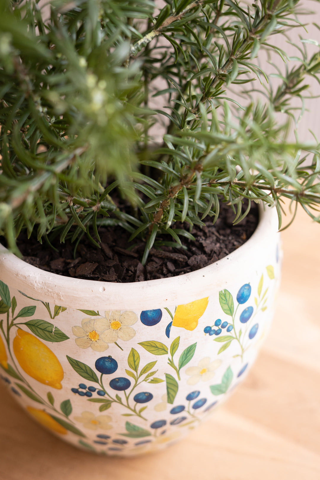Set of 2 Cement Pitcher and Planter with Lemons