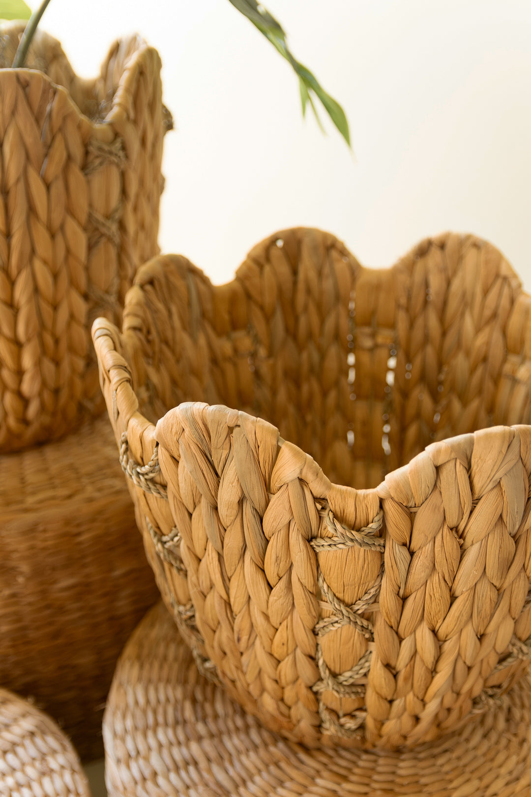 Set of 3 Seagrass Baskets with Wavy Rims