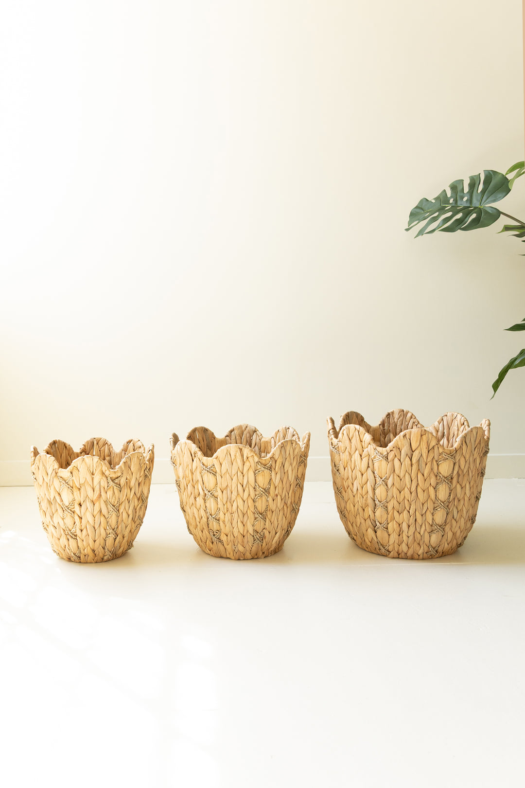 Set of 3 Seagrass Baskets with Wavy Rims