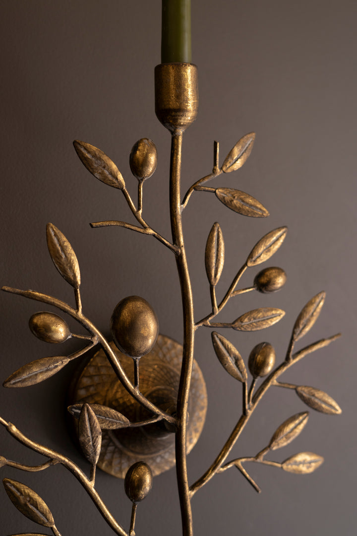 Antique Brass Fruit Tree Taper Wall Sconce
