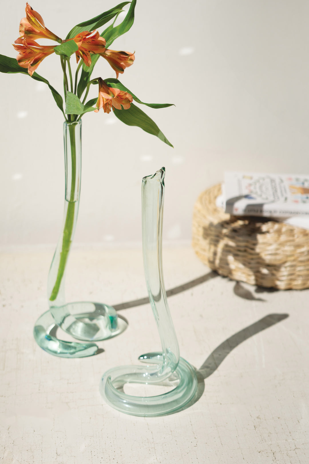 Set of 2 Recycled Glass Snake Vases (Set of six)