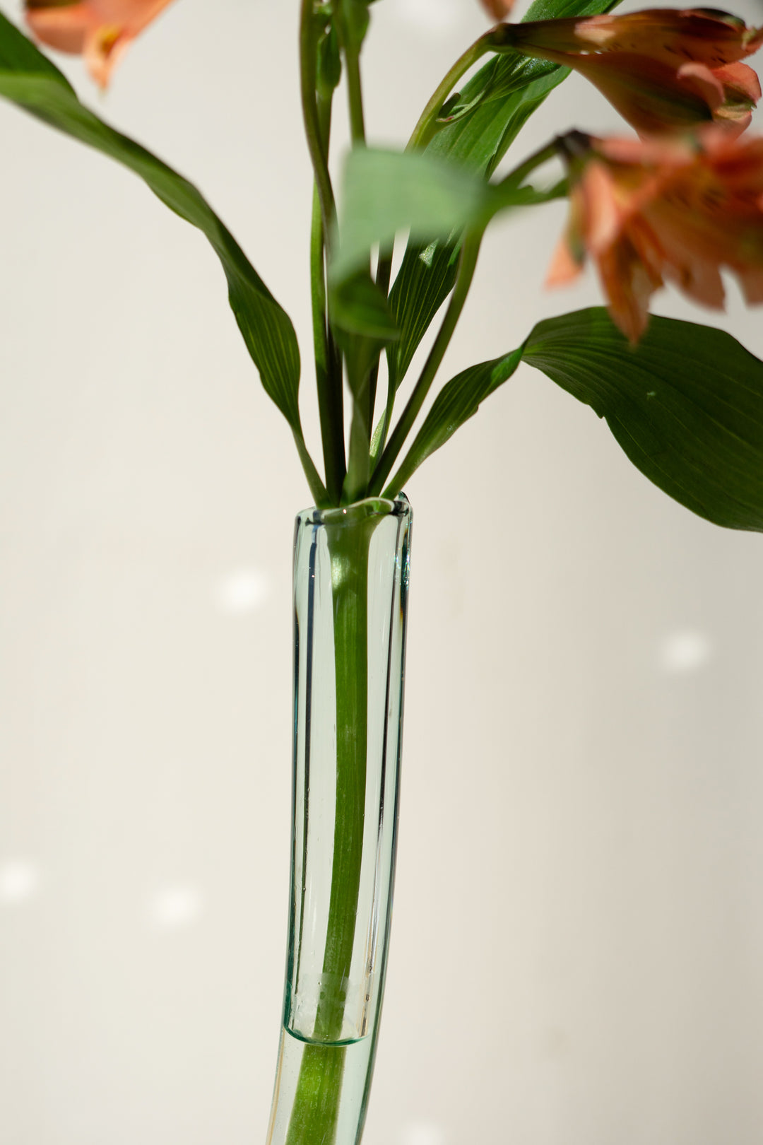 Set of 2 Recycled Glass Snake Vases (Set of six)