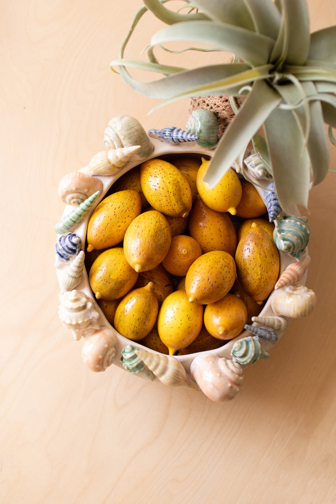 Ceramic Seashell Bowl