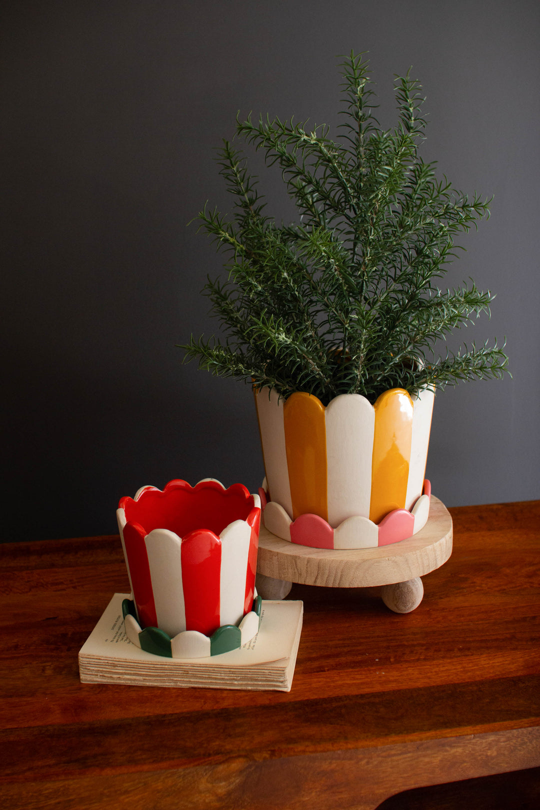 Set of 2 Striped Ceramic Flower Pots with Trays