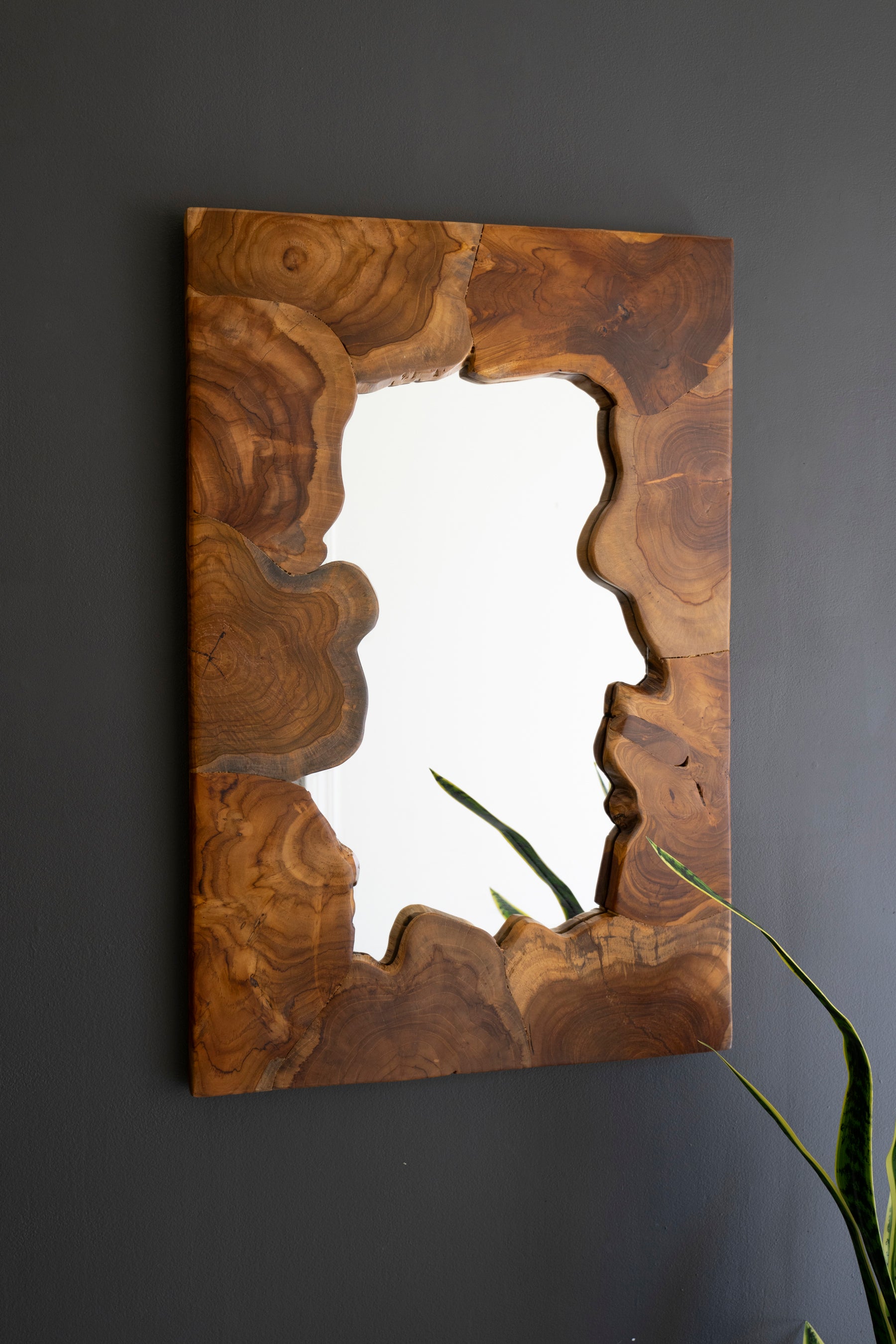 Kalalou Live Edge Teakwood Framed Mirror - Thumbnail 2