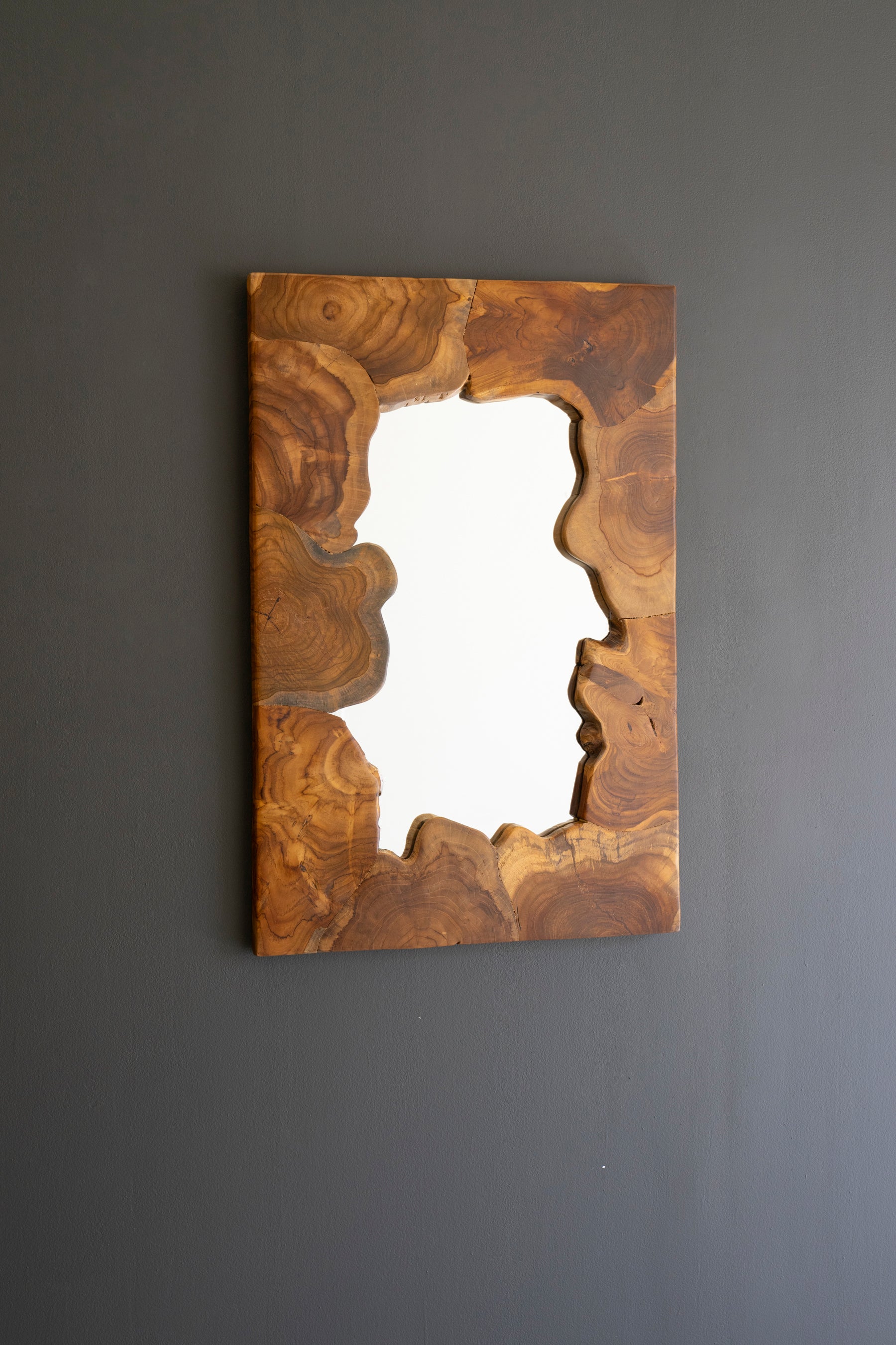 Kalalou Live Edge Teakwood Framed Mirror