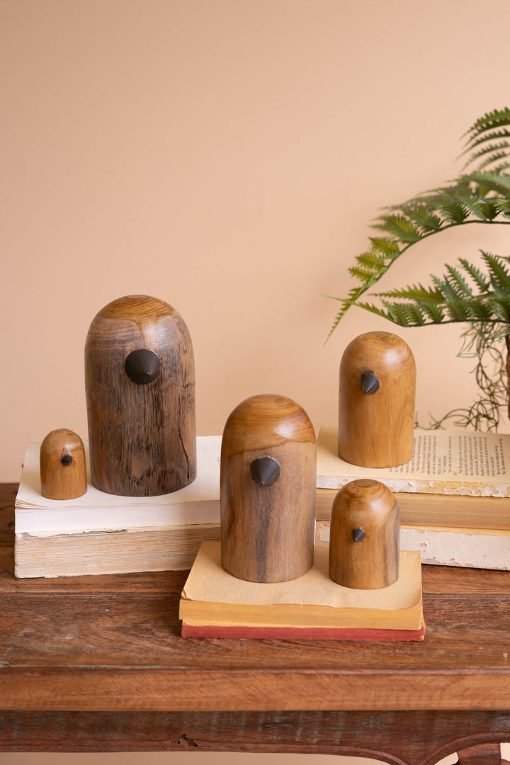 Set of 5 Teakwood Bird Sculptures