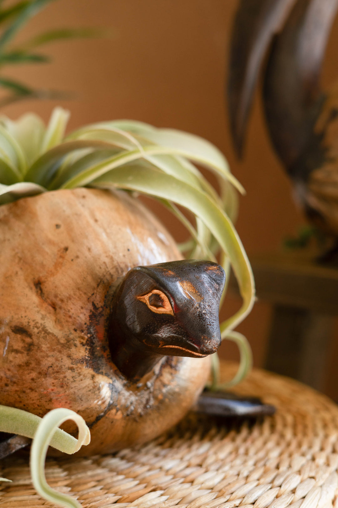 Coconut Turtle Planter