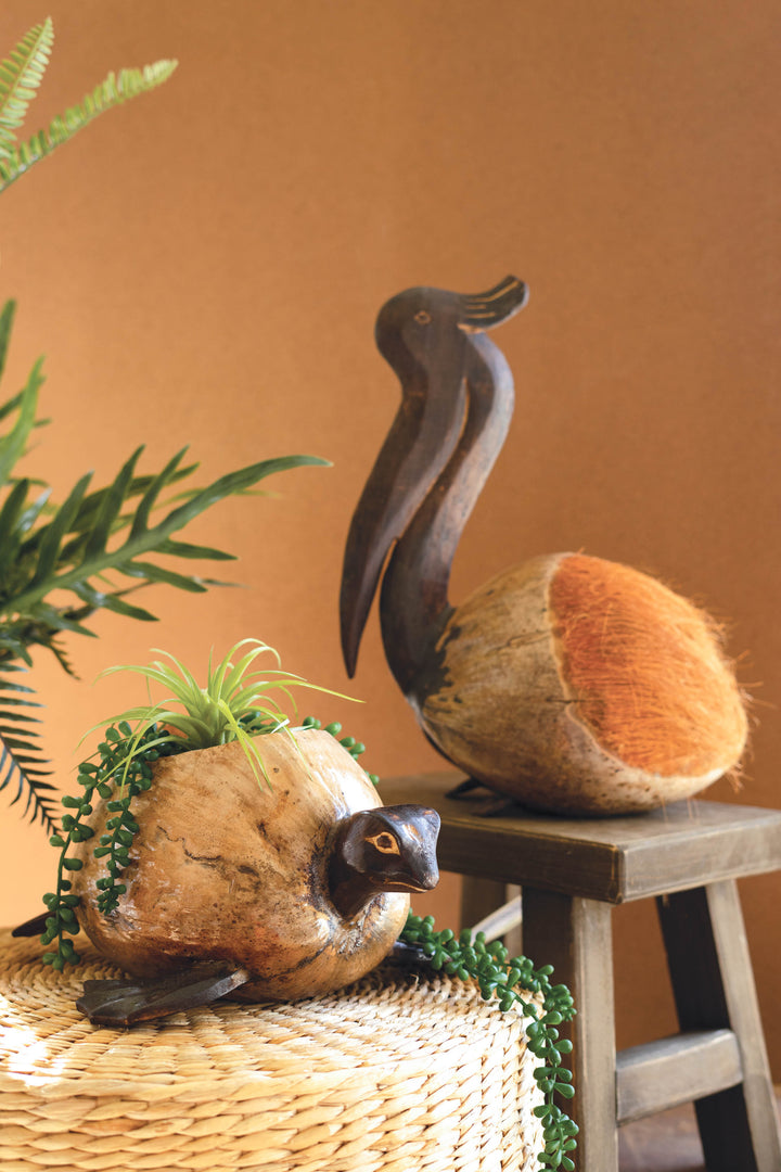 Coconut Turtle Planter