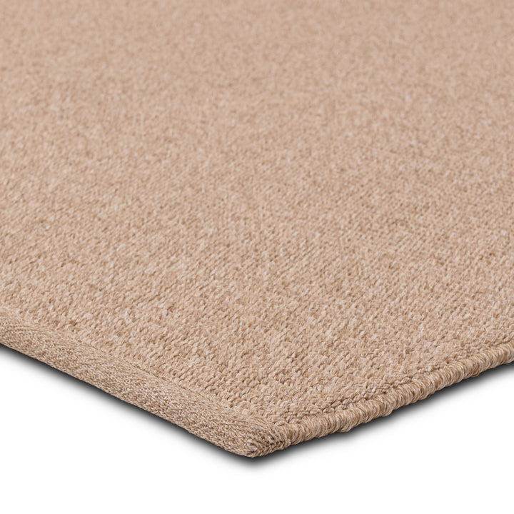 Jaipur Living Texel Indoor/Outdoor Solid Brown Area Rug (FLINT - FLI02)