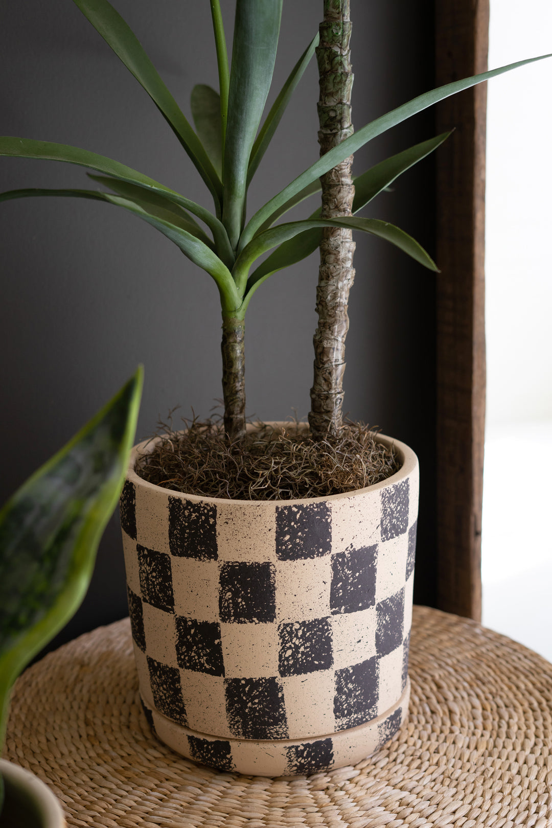 checkers plant pots Set Of 3 Checkered Clay Planters With Trays – Hudson & Vine