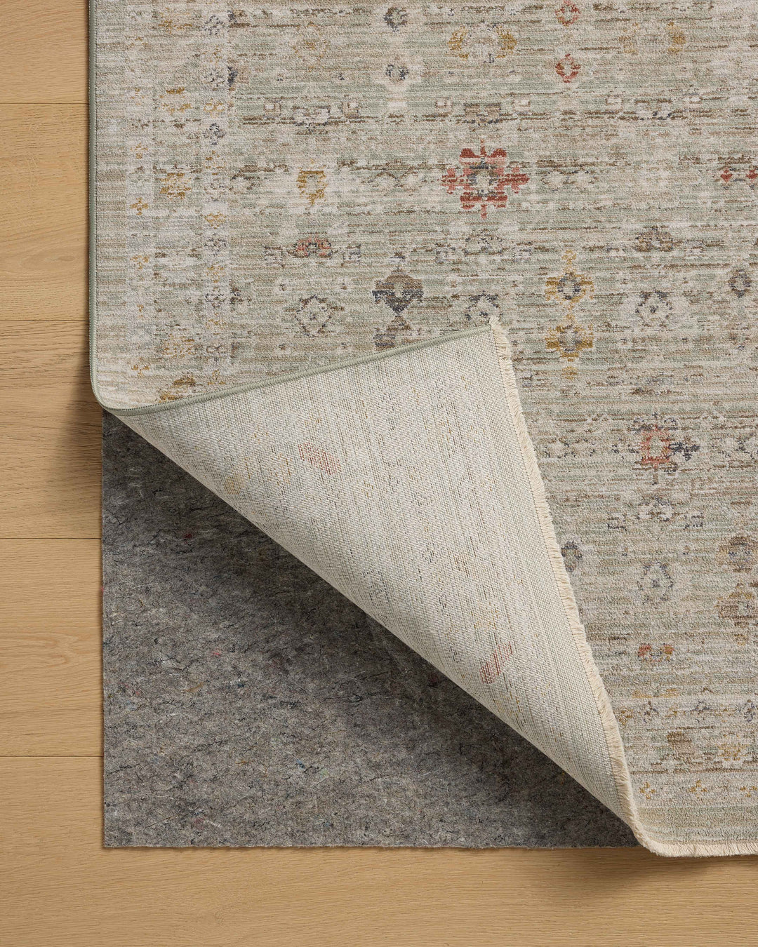 Chris Loves Julia x Loloi Ida Spa / Multi Accent Rug (IDA-04)