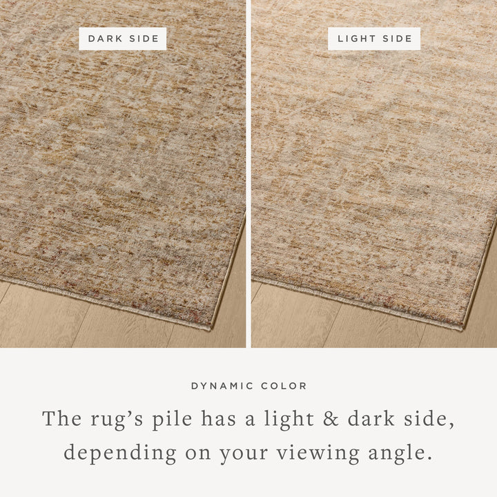 Loloi II Newman Wheat / Natural Area Rug (NEW-02)