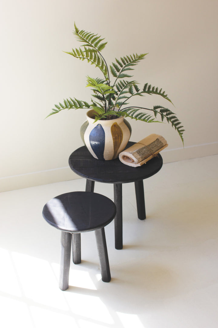 Set of 2 Black Round Recycled Wood Accent Tables