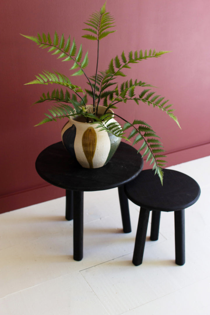 Set of 2 Black Round Recycled Wood Accent Tables