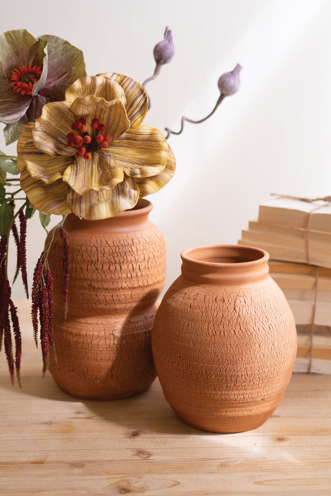 Set of 2 Terracotta Vase with Crackle Detail