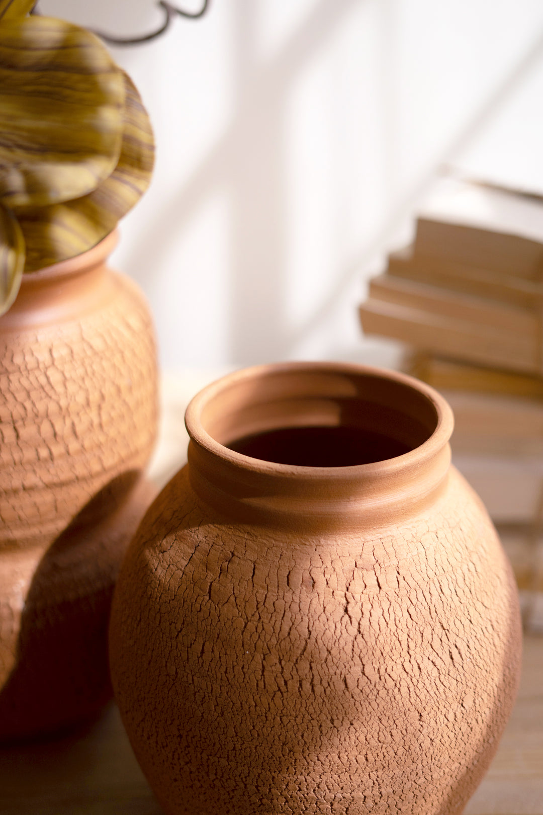 Set of 2 Terracotta Vase with Crackle Detail