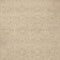 Loloi Penny Gold Natural Area Rug (PEN-01)